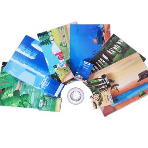 Bloc: Les Animaux du monde