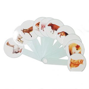 Éventail – Les animaux