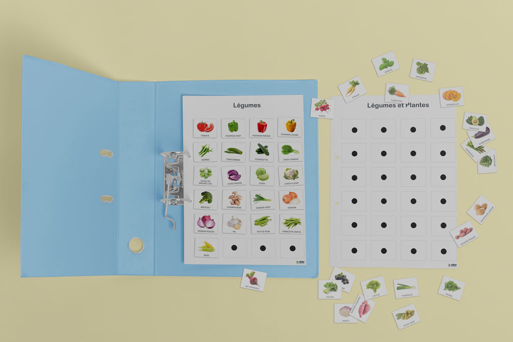 Fiches de légumes avec pictogrammes dans un classeur bleu