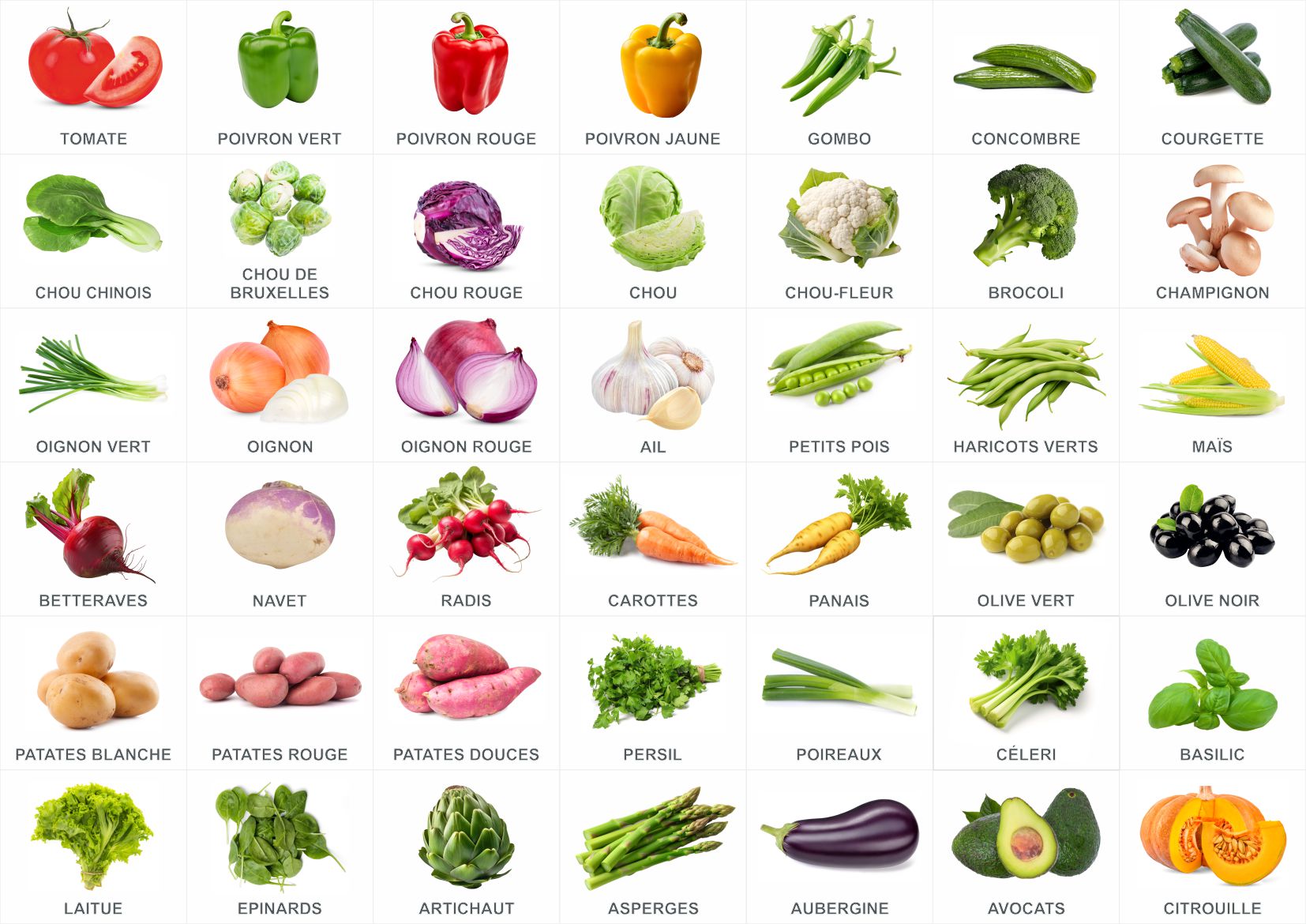 Mini pictogrammes légumes en format vignette 37×30 mm