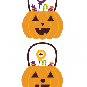 Activités d’automne